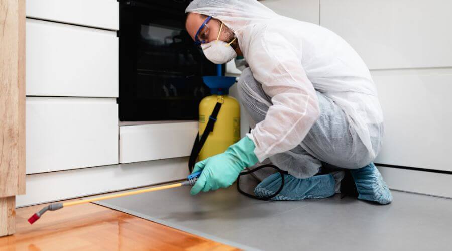 Why choose QPC Coos Bay for quarterly pest control in Coos Bay